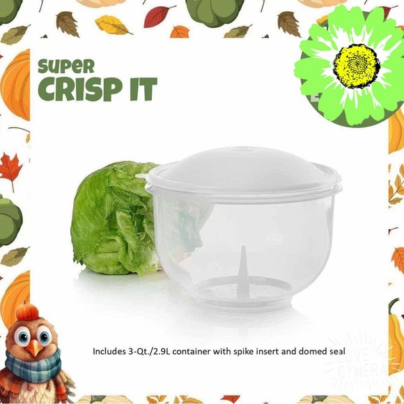 Clear and White Salad Spinner - Picture 5 of 5